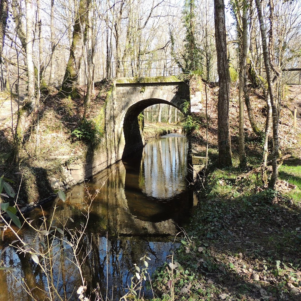 Forêt du Gâvre 3