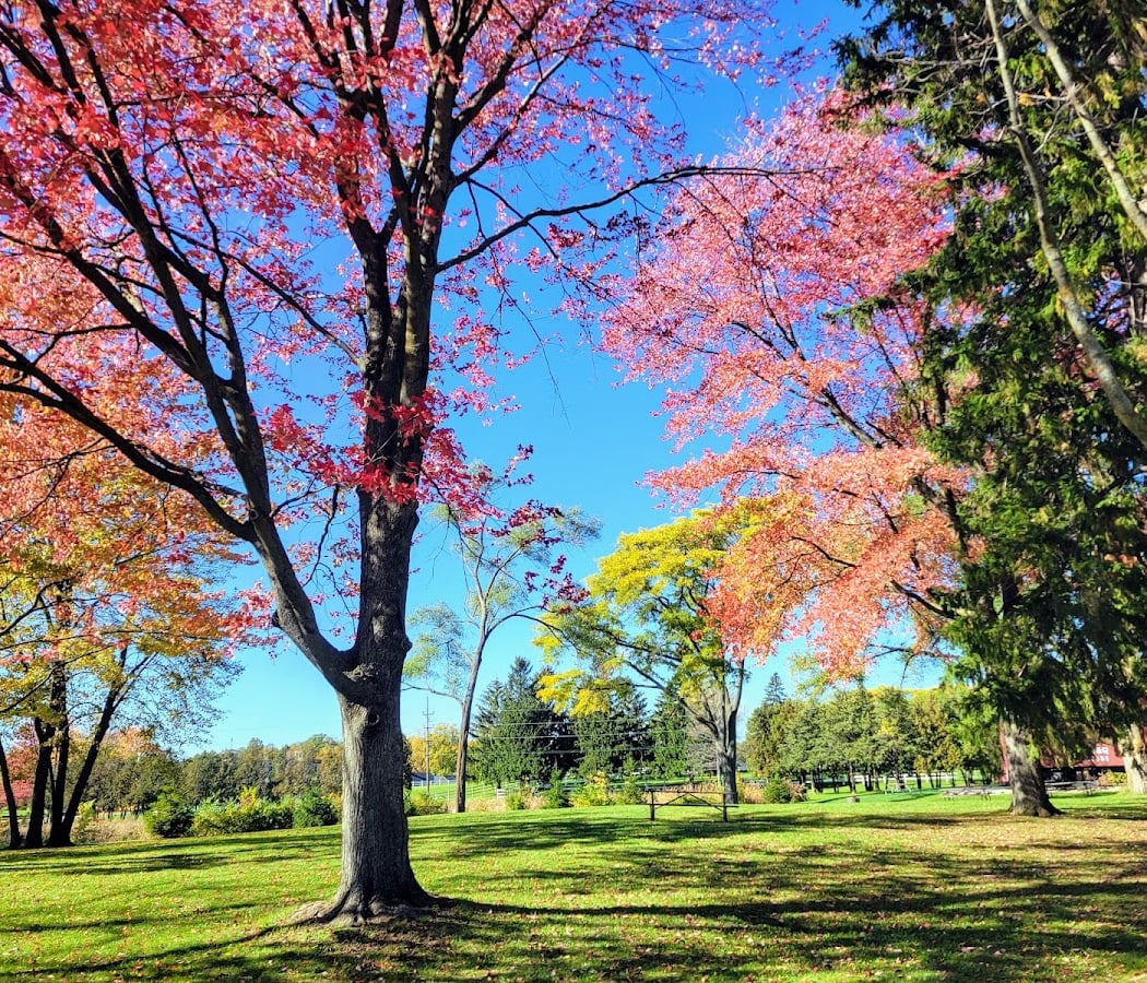 St. James Farm Forest Preserve 1