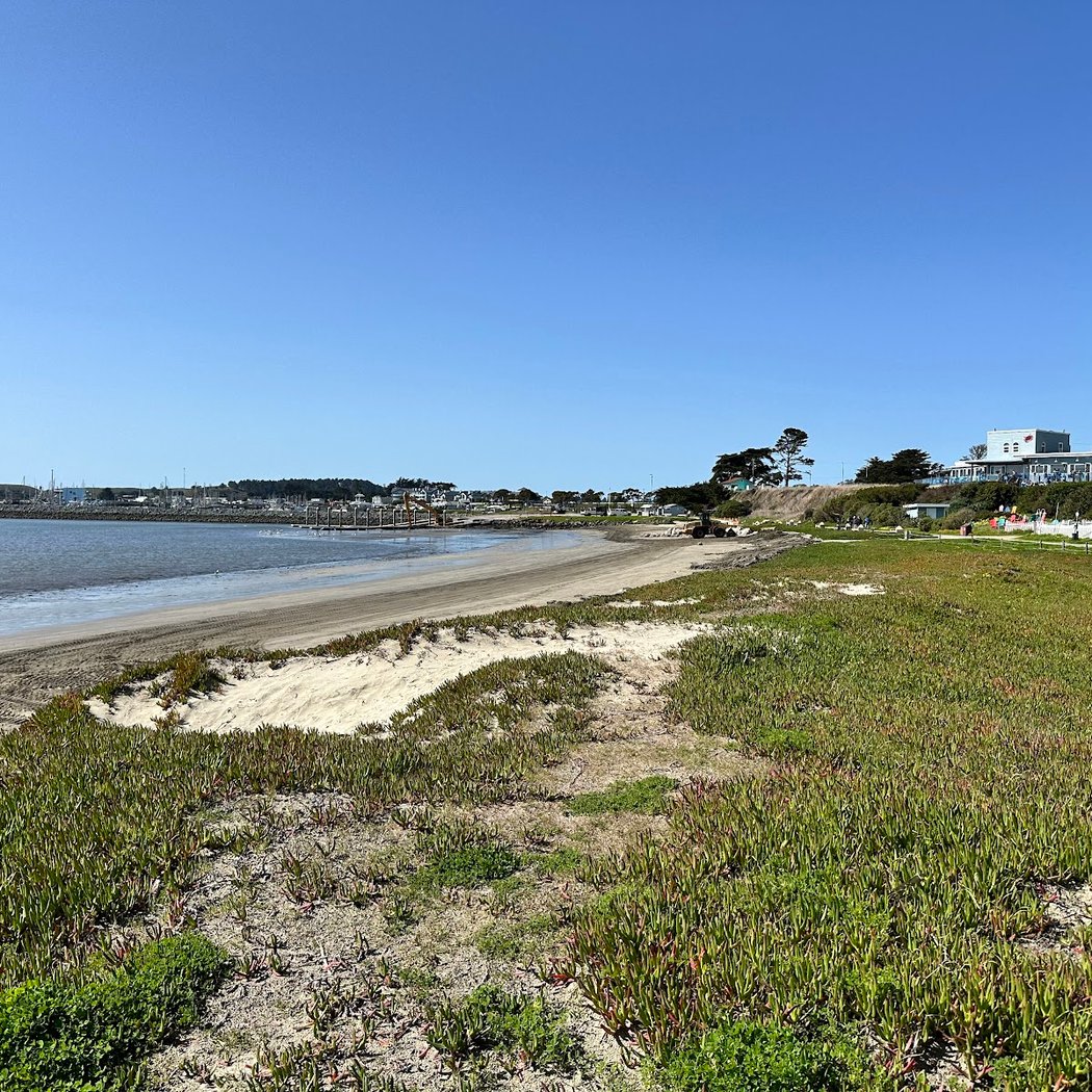 Pillar Point Harbor Beach 2