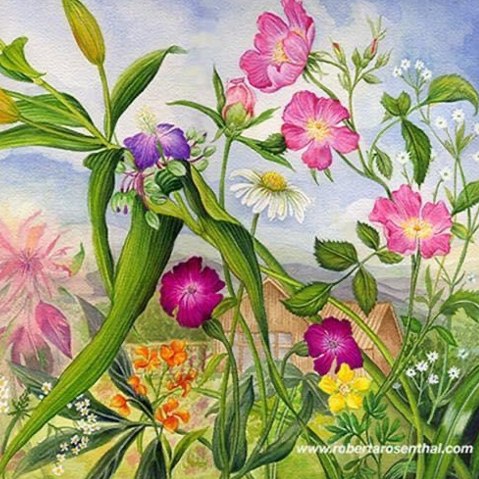 Botanical Drawing with Graphite and Watercolor Pencils with Roberta Rosenthal 1