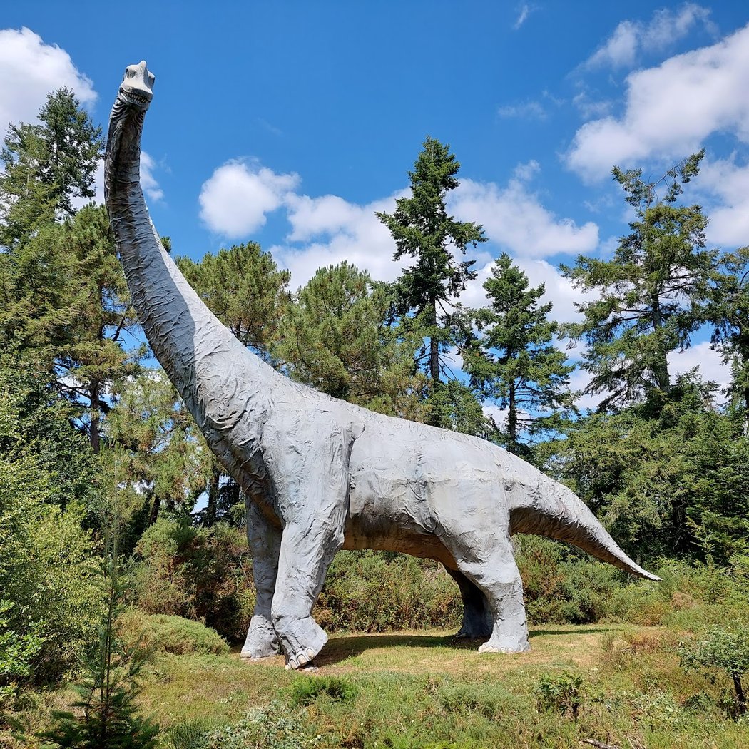 Parc De Préhistoire De Bretagne 1