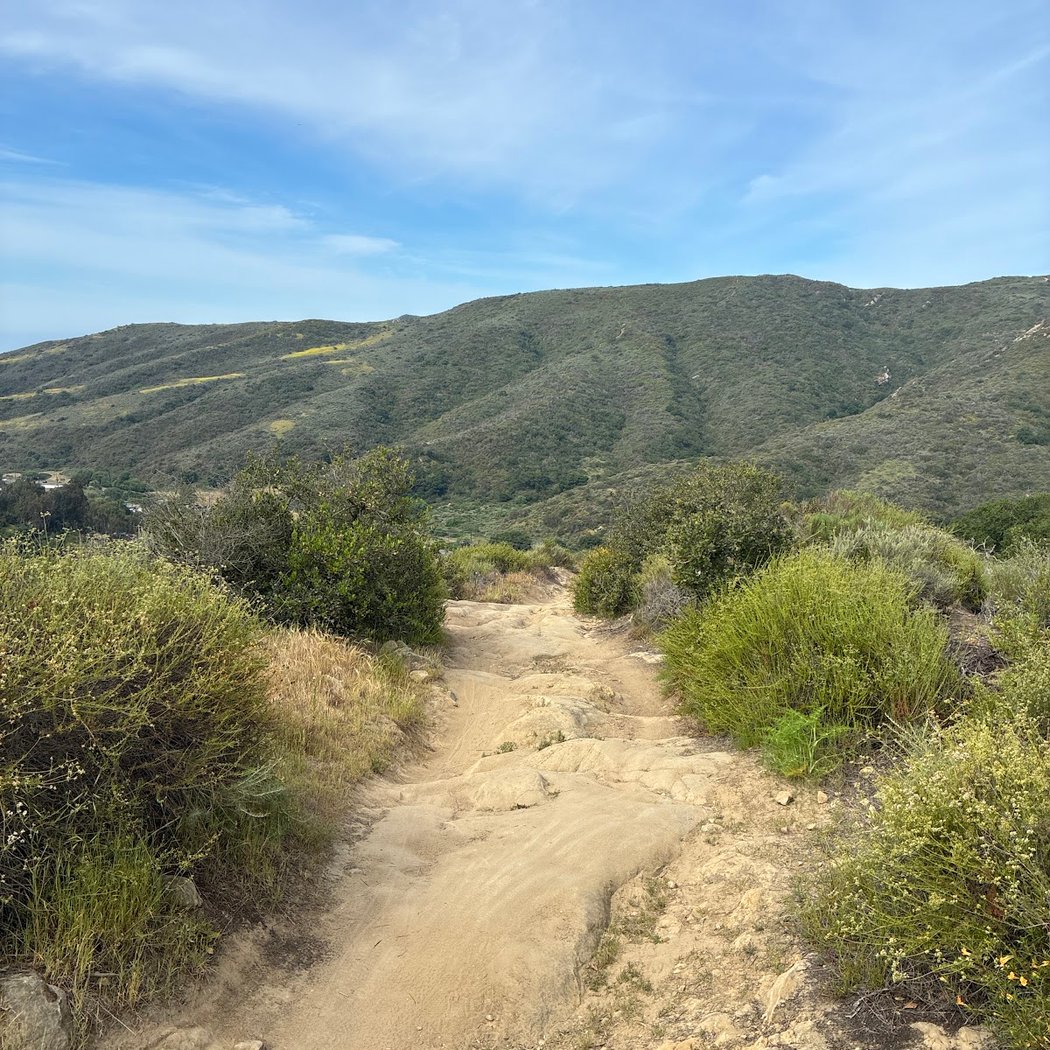 Trail Stewardship – Stairsteps 2