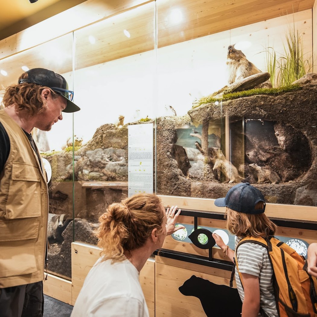 Le muséum des animaux de montagne 3