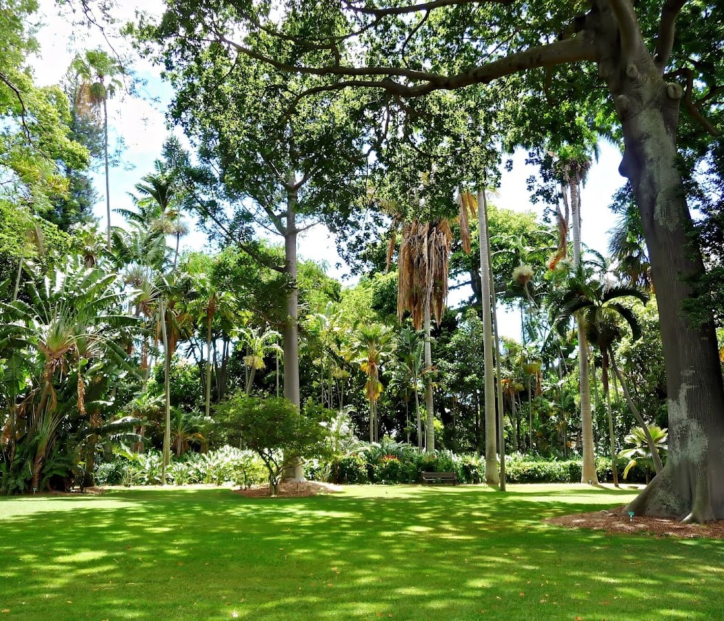 Foster Botanical Garden 1