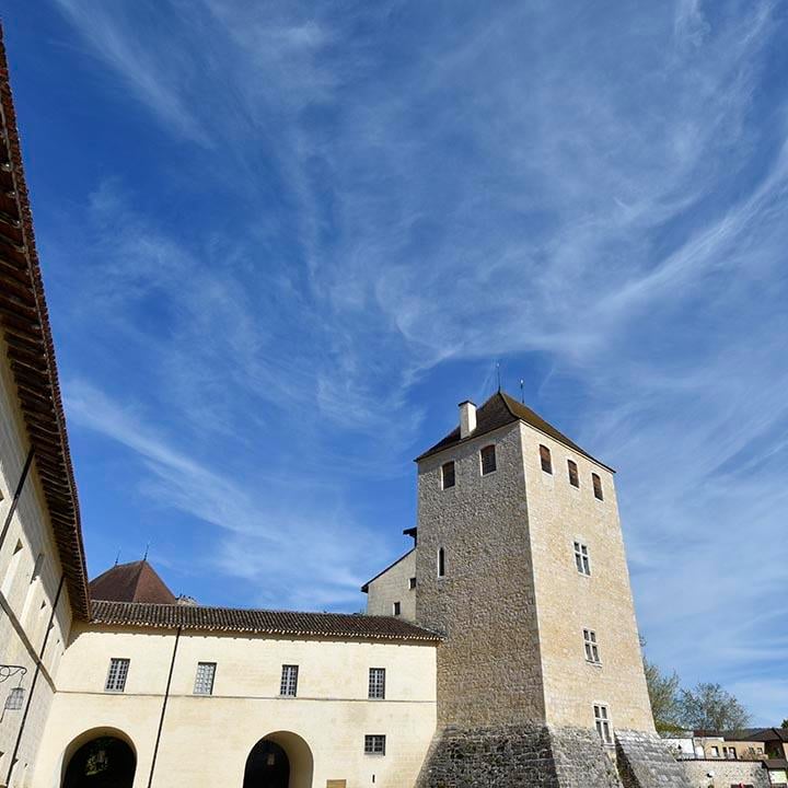 Centre culturel de rencontre d'Ambronay 3