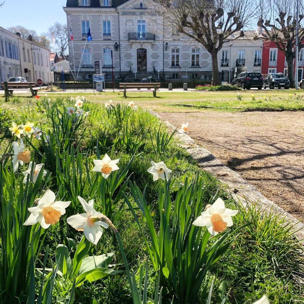 Jardinez malin 1