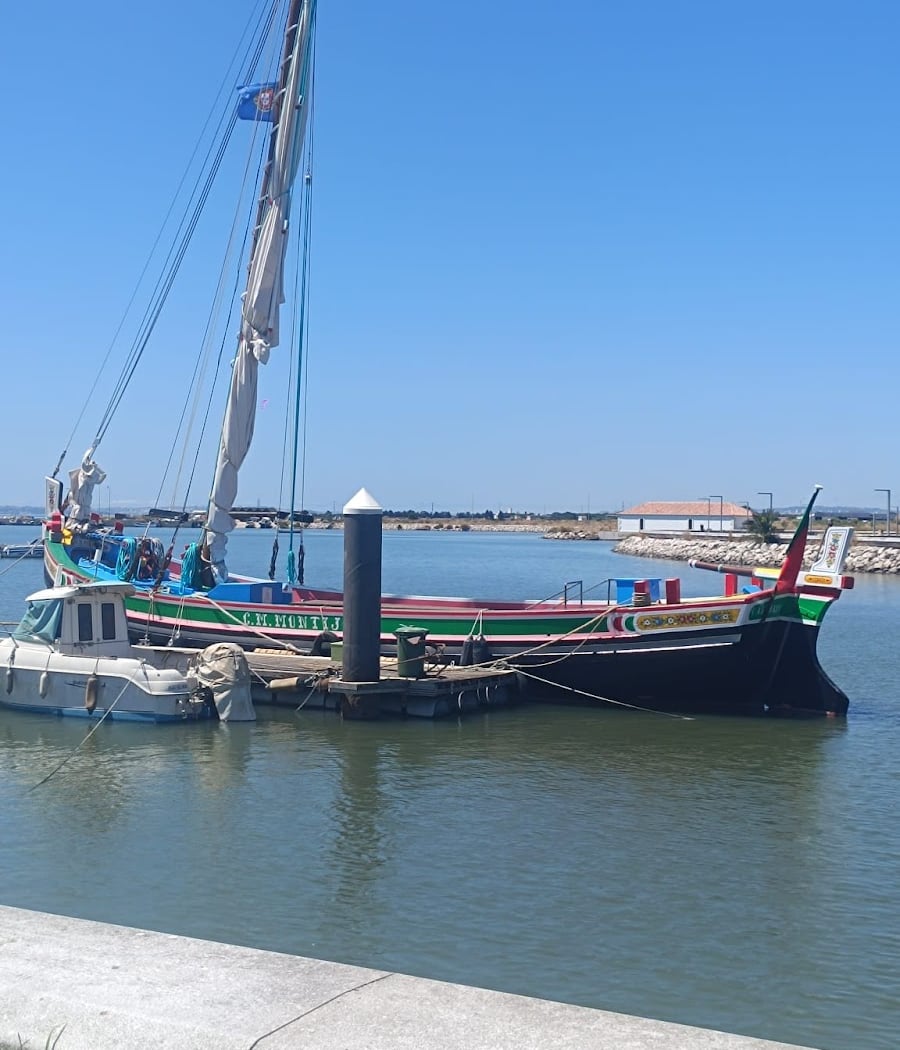 Passeios Turísticos no Tejo 2026 1