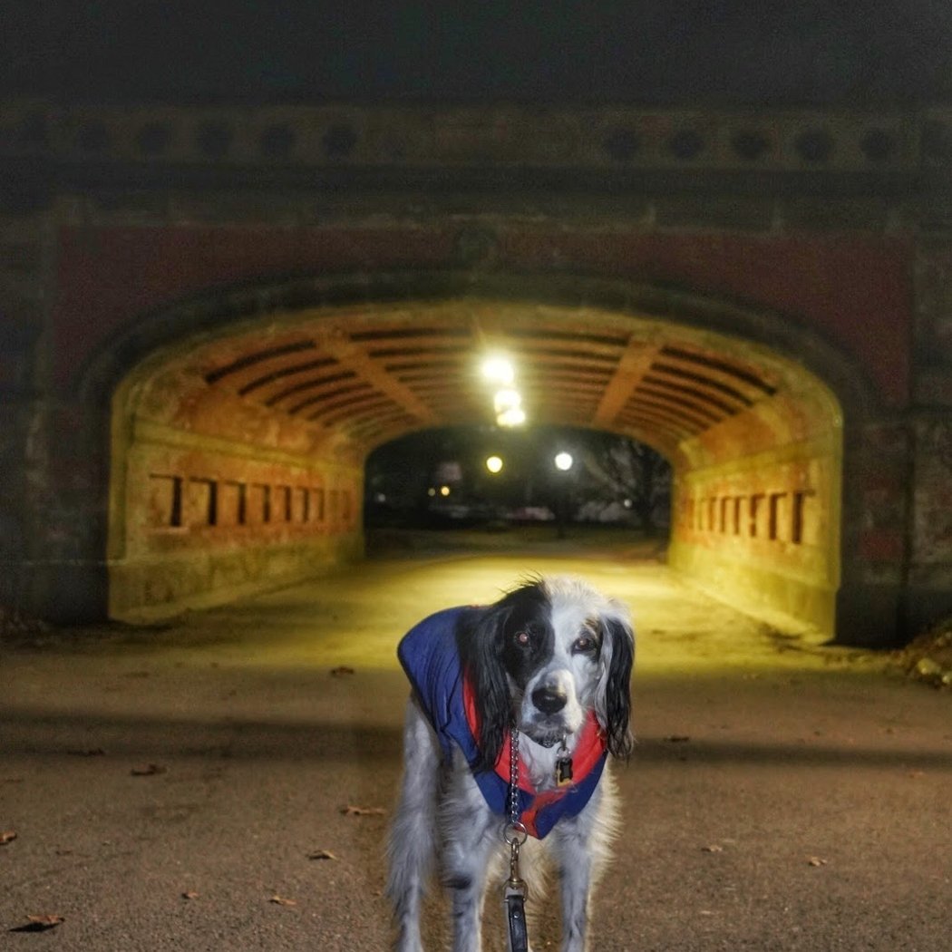 Greyshot Arch 2