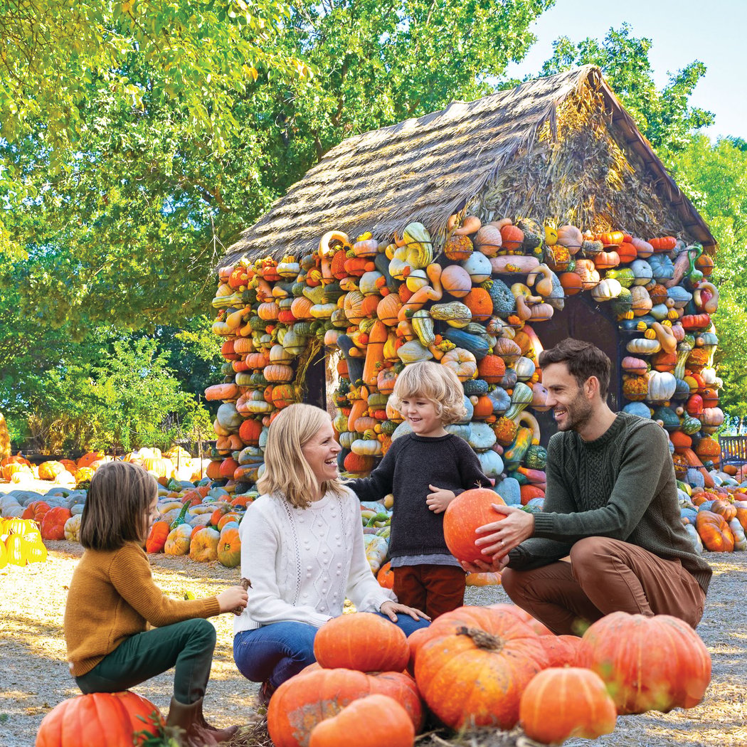 Autumn at the Arboretum: Harvest Hues 2