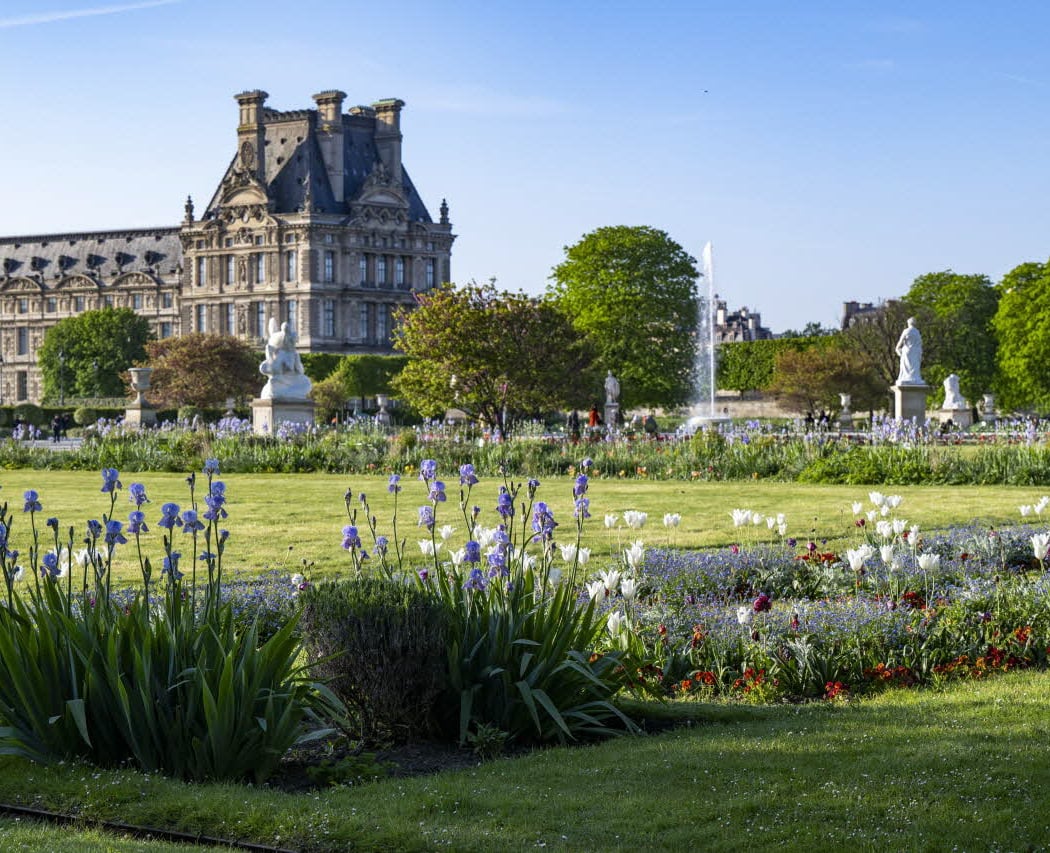 Tuileries Garden 1