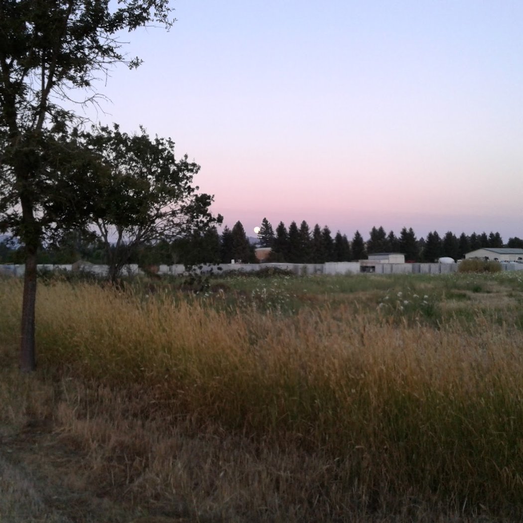Joe Rodota Trail 2
