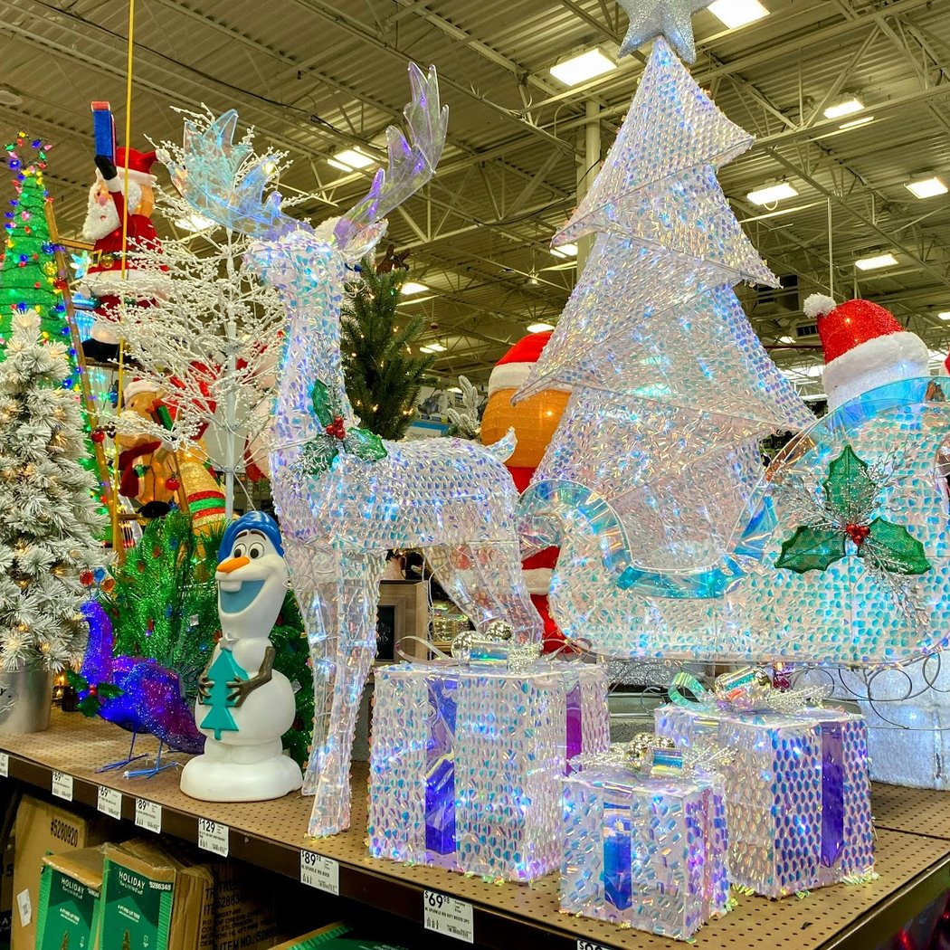 Holiday Celebration and Tree Lighting 3