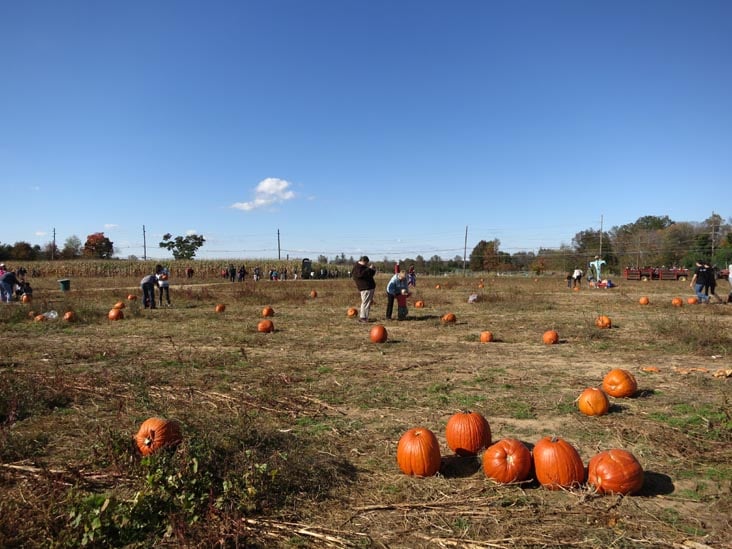 Fall Family Fun Weekends 3