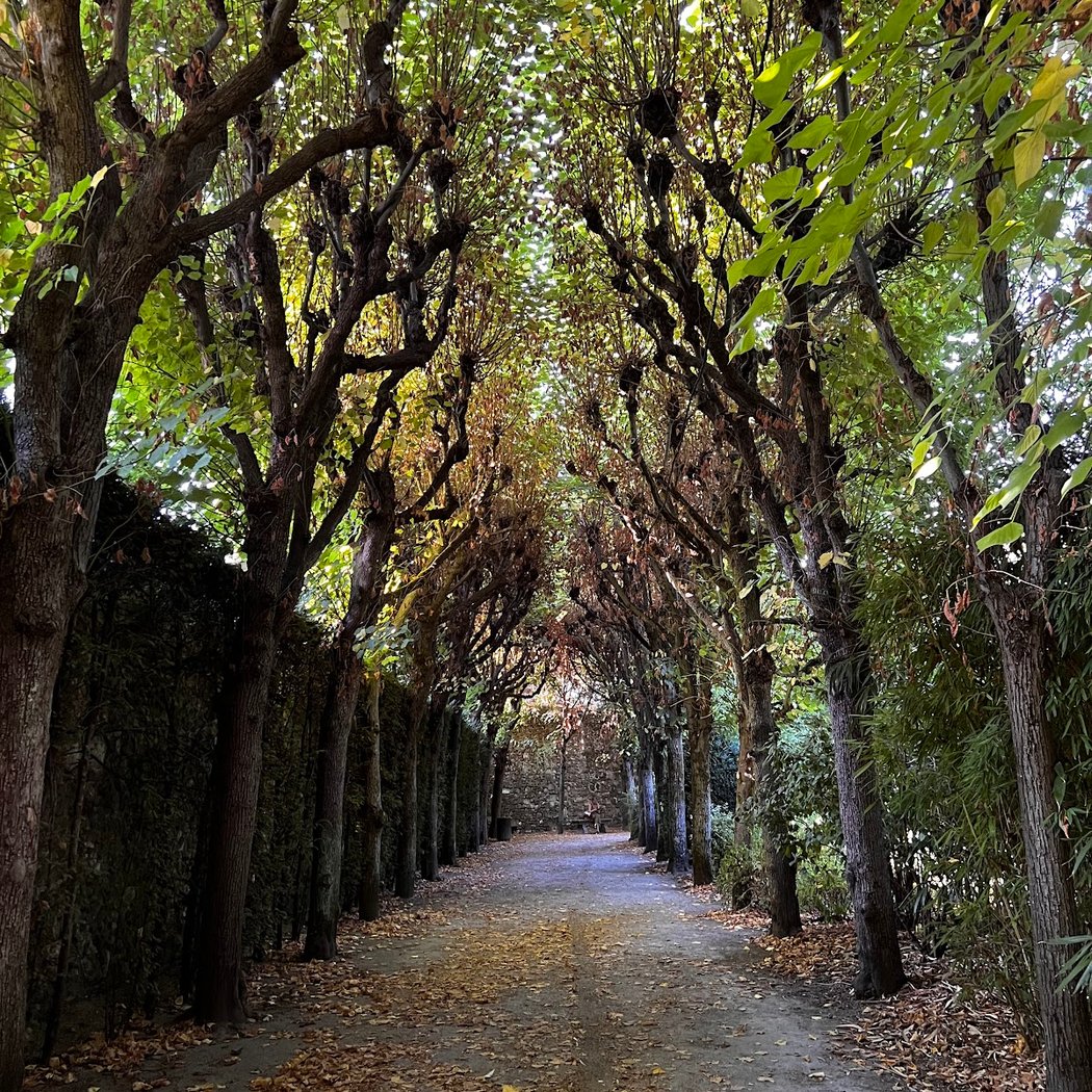 Bossuet Garden of Meaux 3