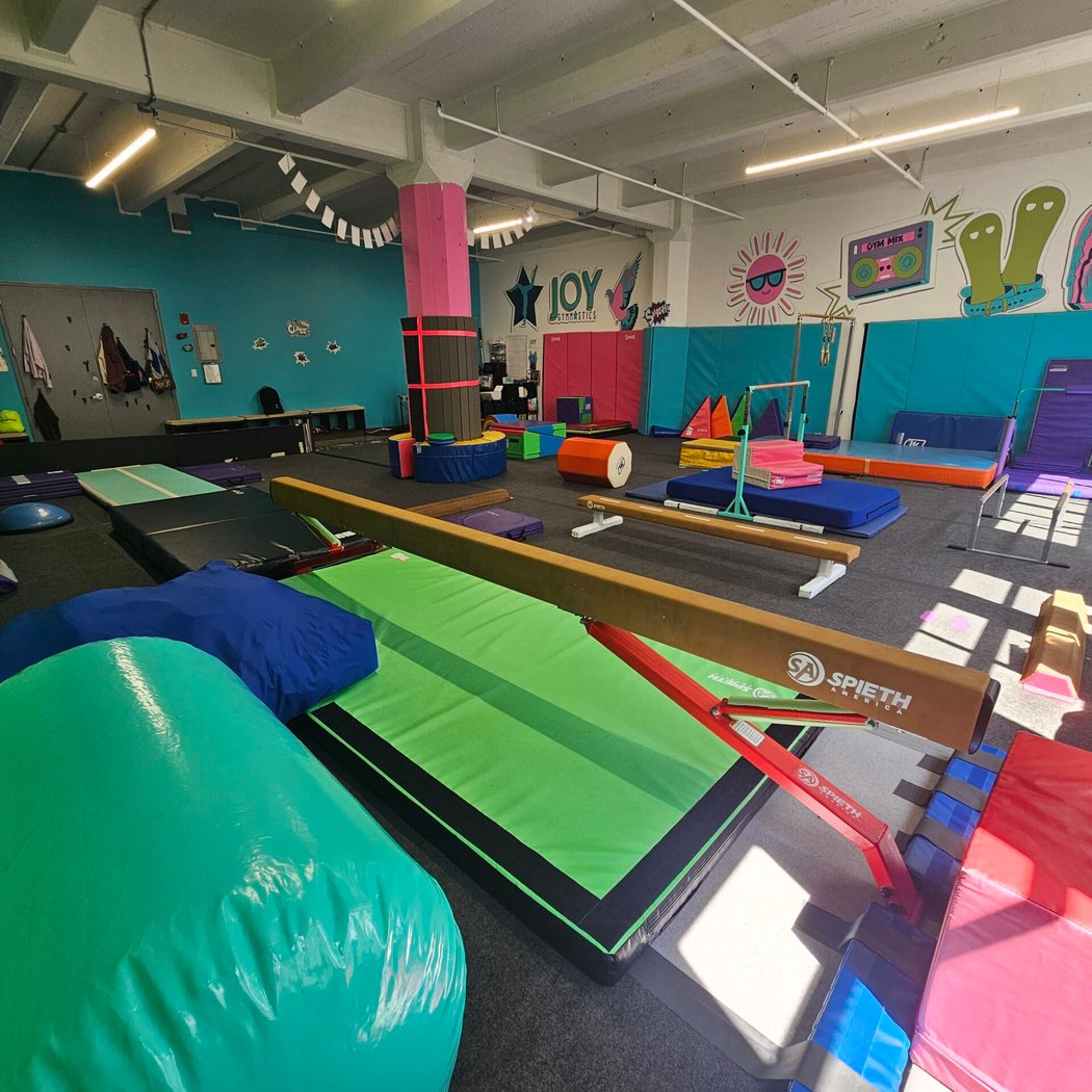 Joy Gymnastics 4