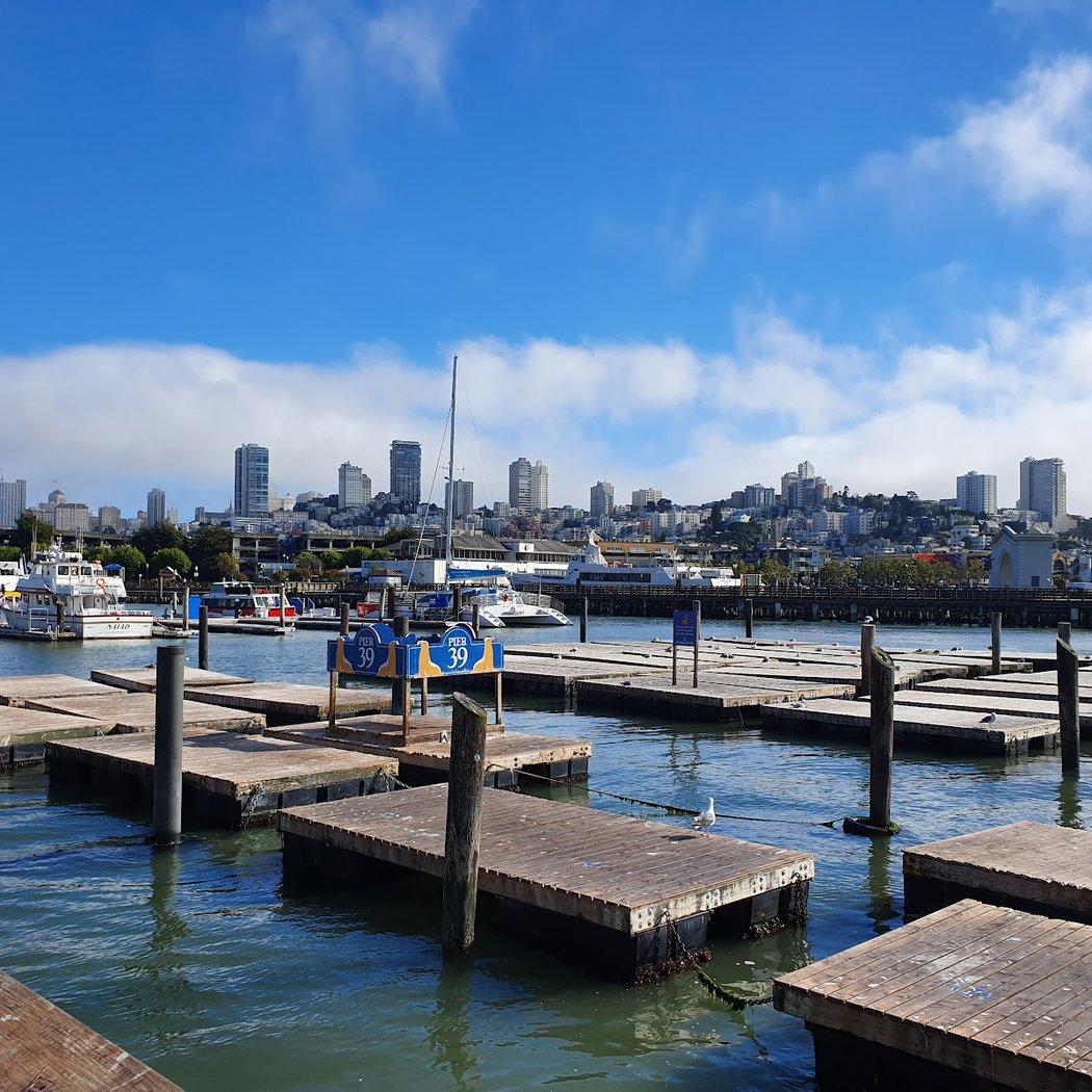 Pier 39 3
