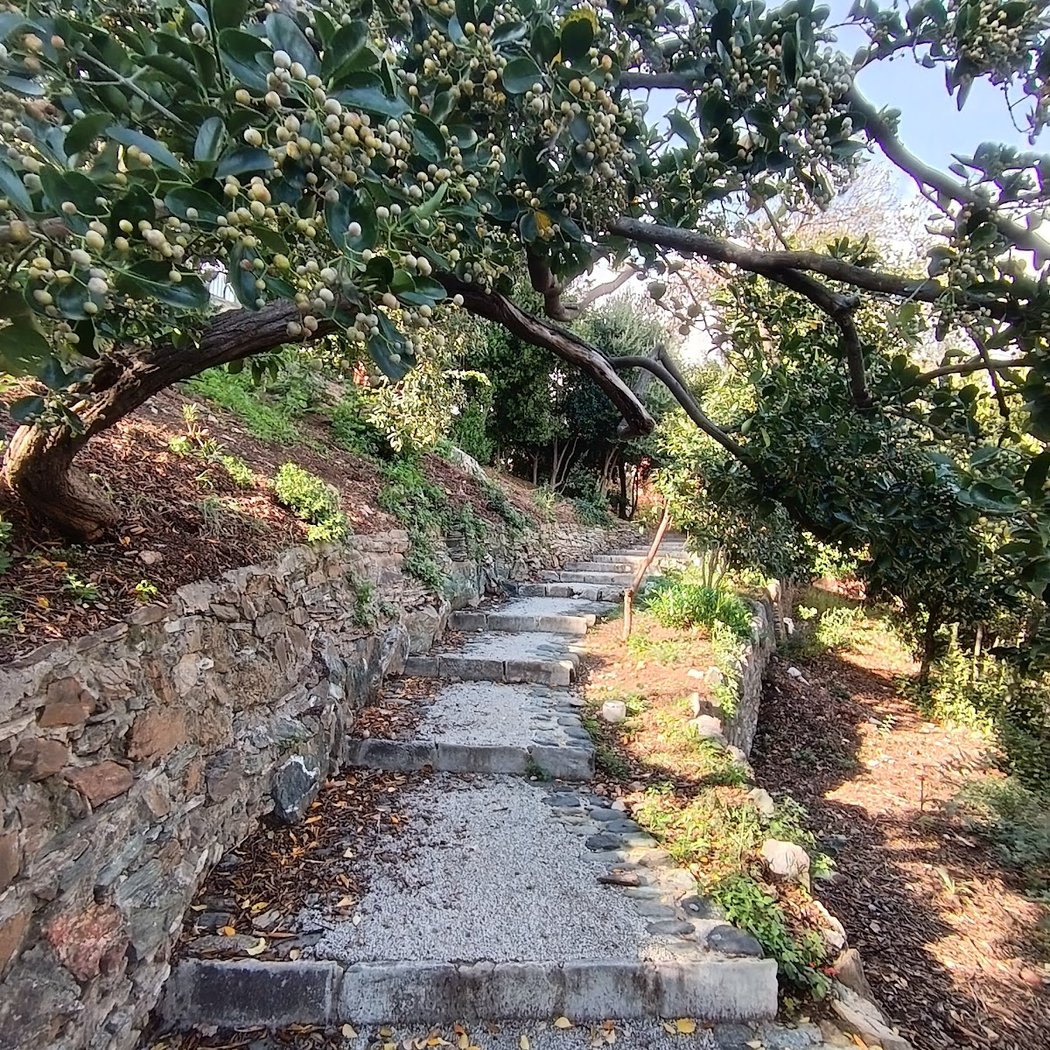 Romieu Garden 3