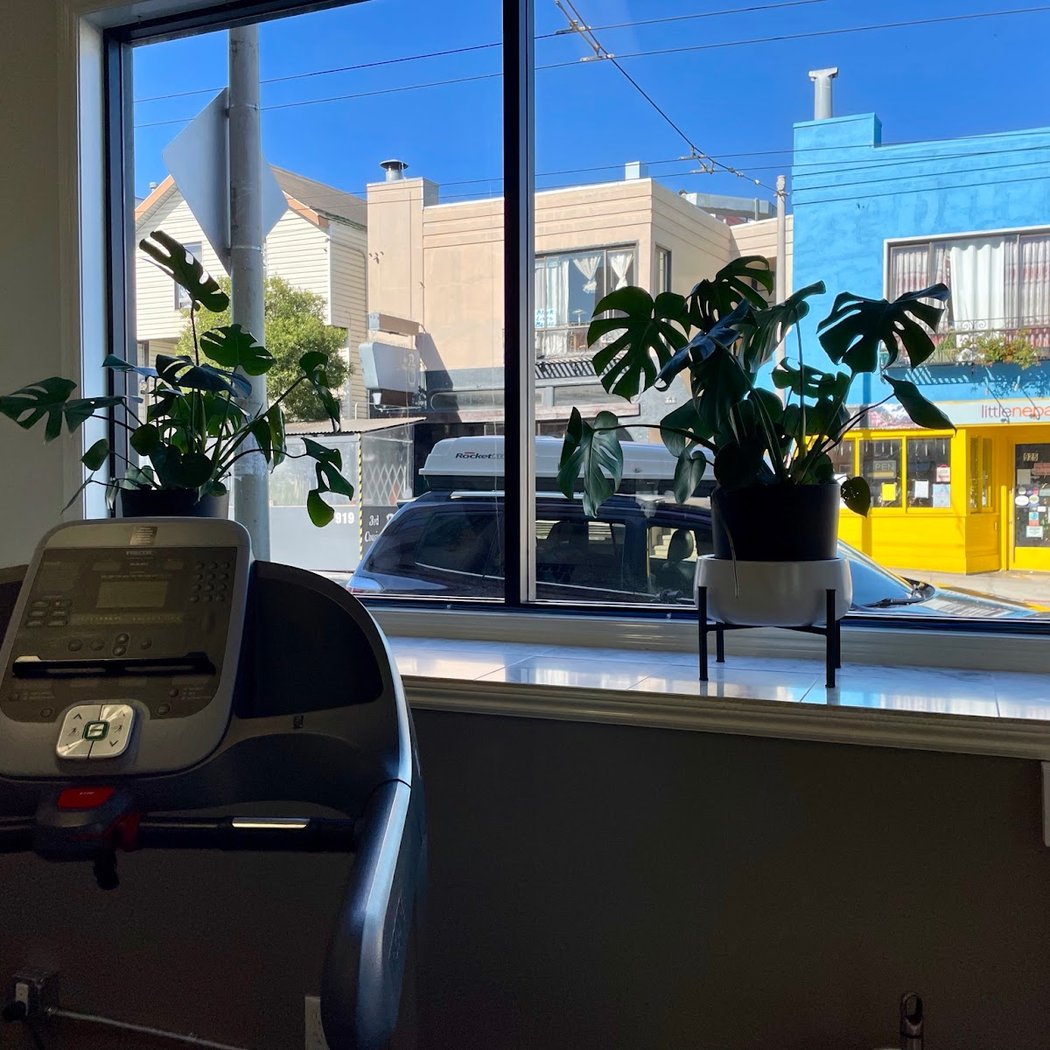 fit BERNAL fit 2