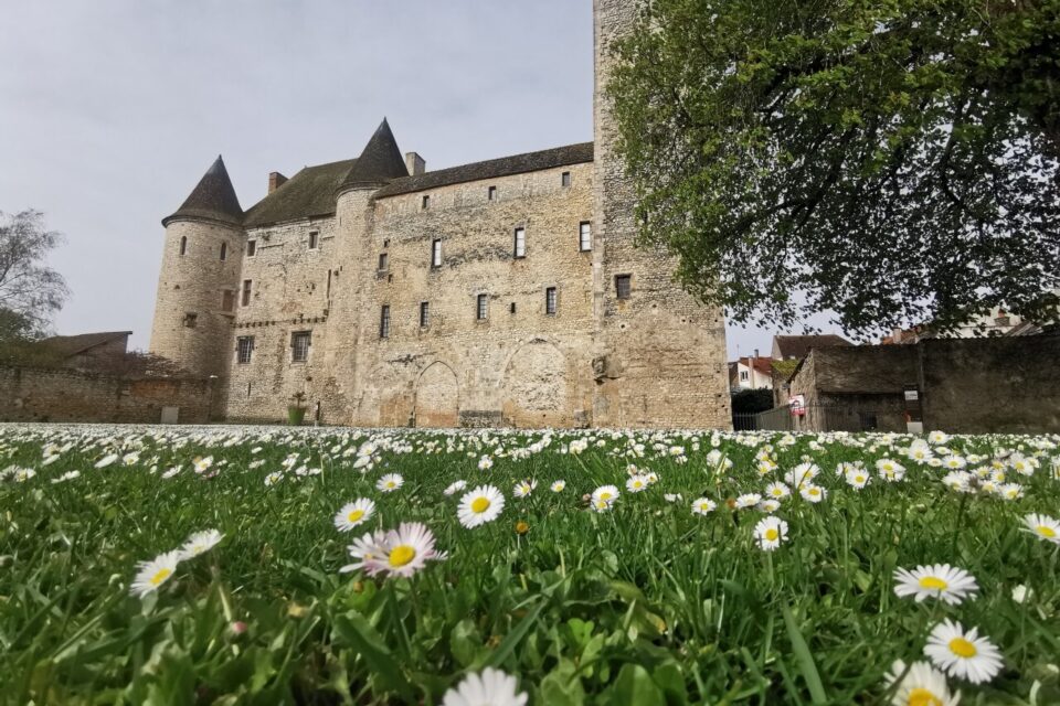 Château de Nemours 2