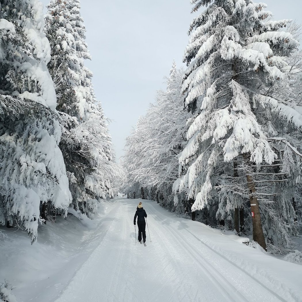 Nordic area of ​​Chavade 1