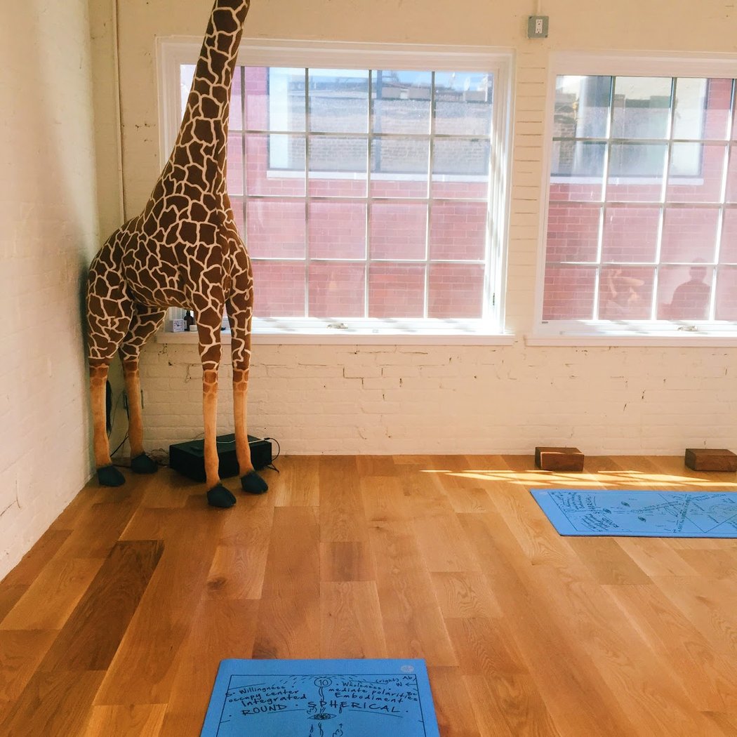 Sky Ting Yoga with Kate Posch 4