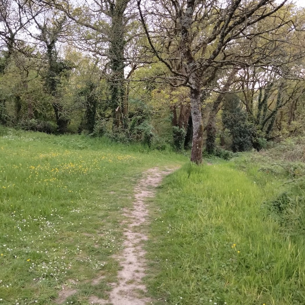 Parc du Bois Jo 1