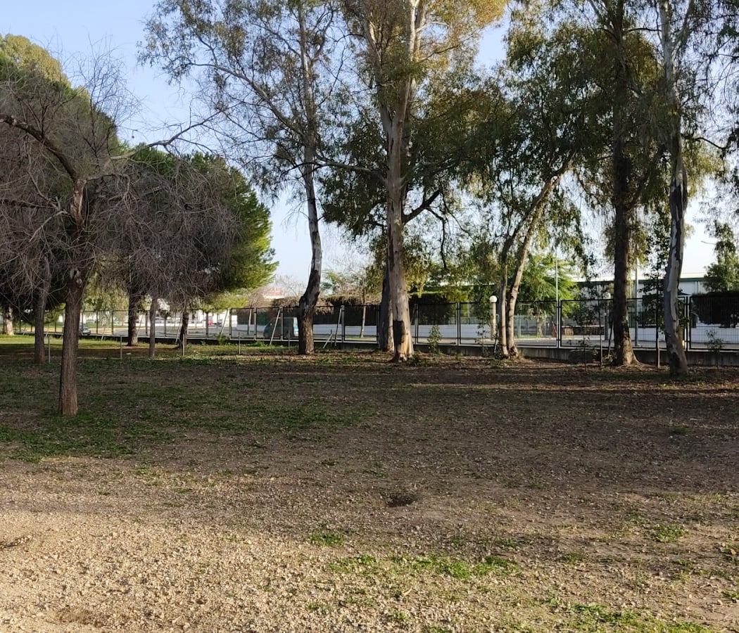 para perros Park 3