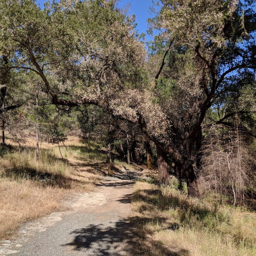 Petrified Forest Rd 1