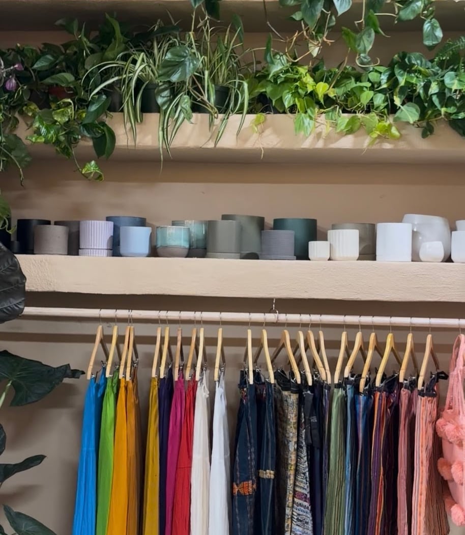 Raíz Plants 3