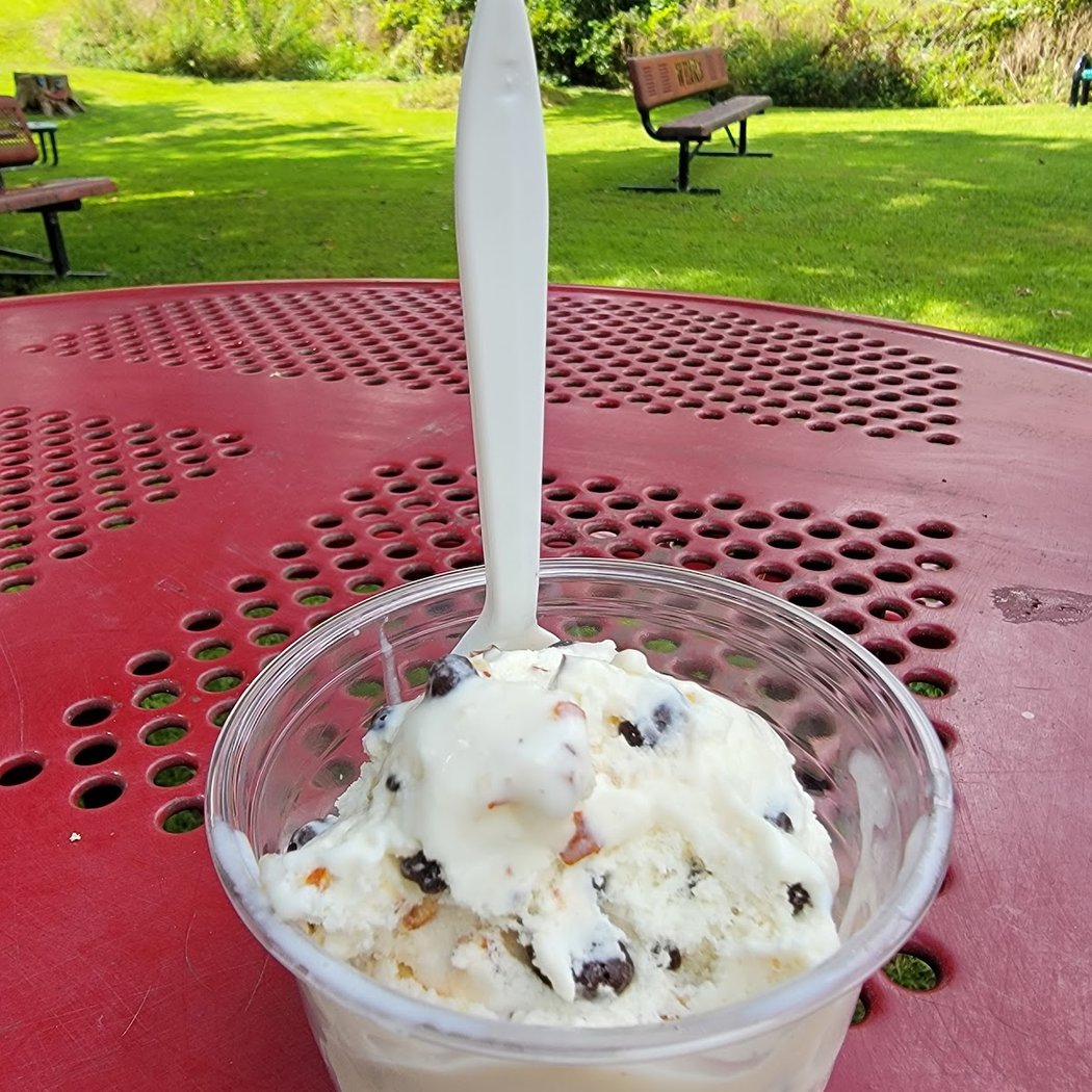 Weir's Ice Cream 3