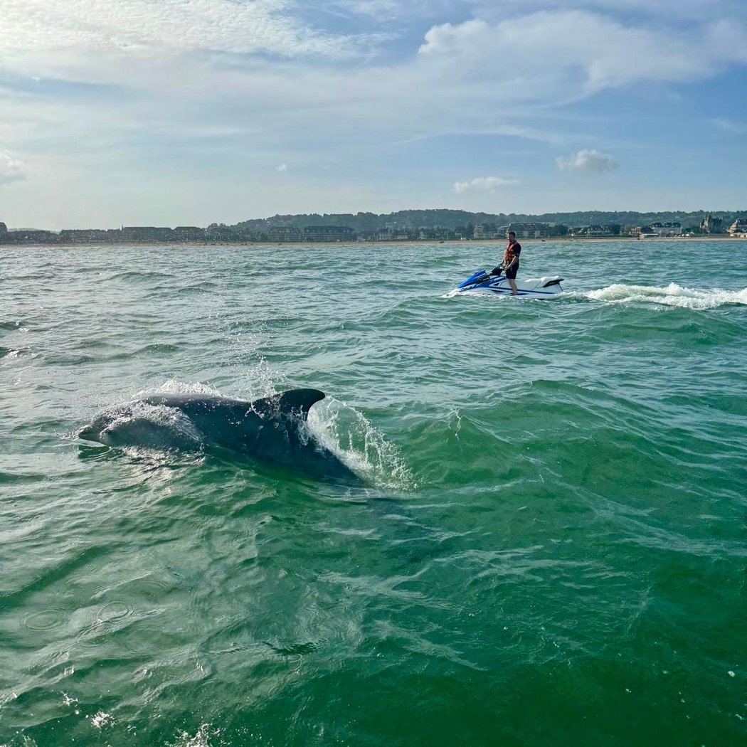 Jet Ski Deauville 1