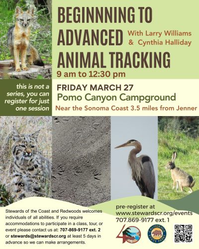 Beginning to Advanced Animal Tracking 1