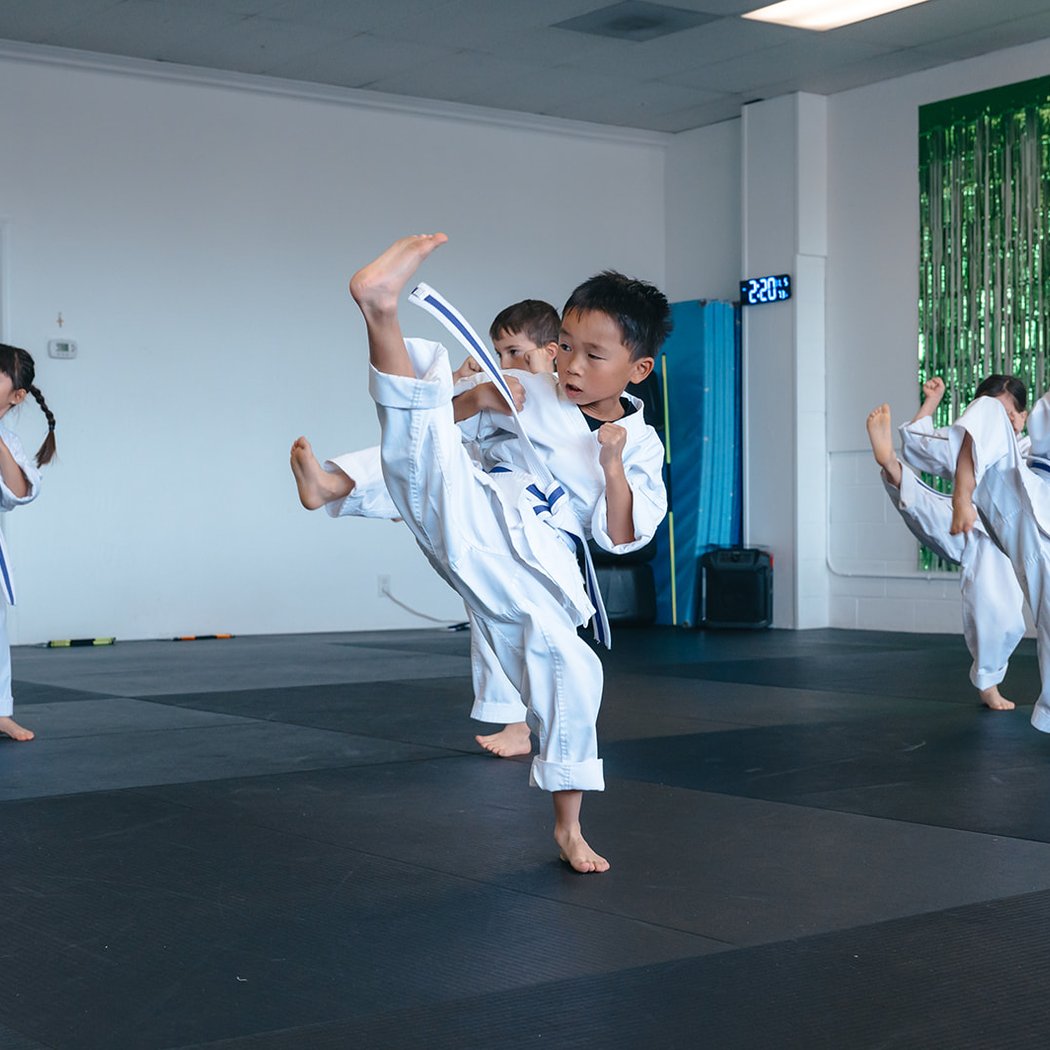 White Belt Success Workshop