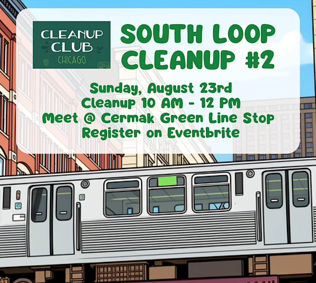 South Loop Cleanup #2 1