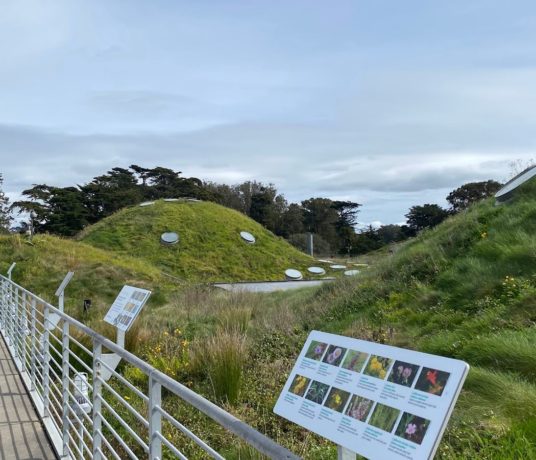 Living Roof Observation Deck 3