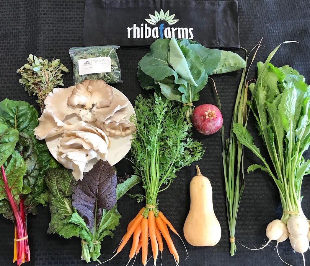 Rhibafarms Farm Stand 1