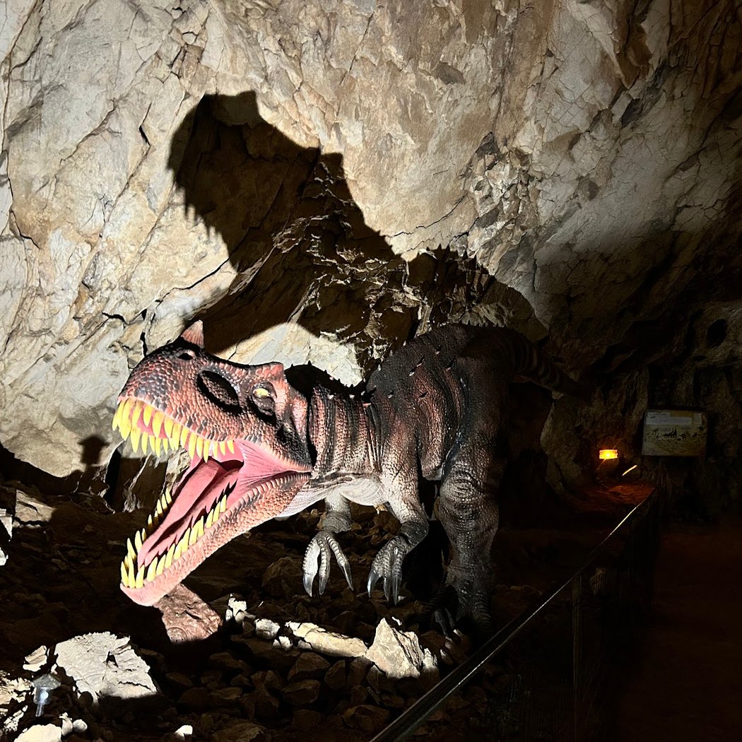 Dinopedia Expérience - Cova Bastera 1