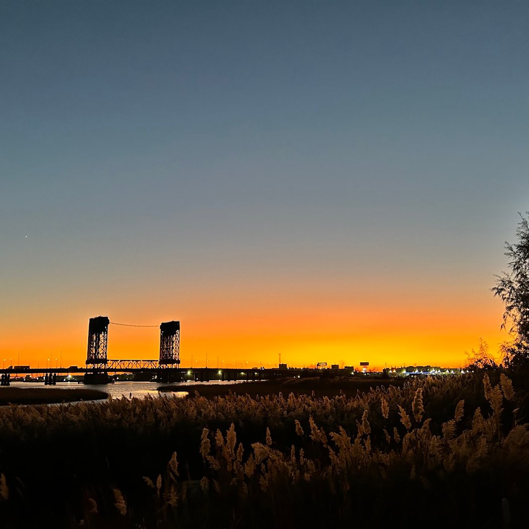 Lincoln Park West Wetlands & Nature Trail 1
