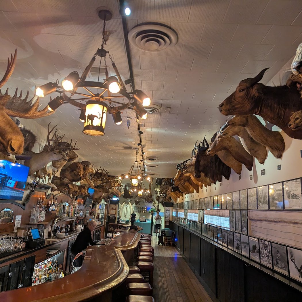Foster's Bighorn 1