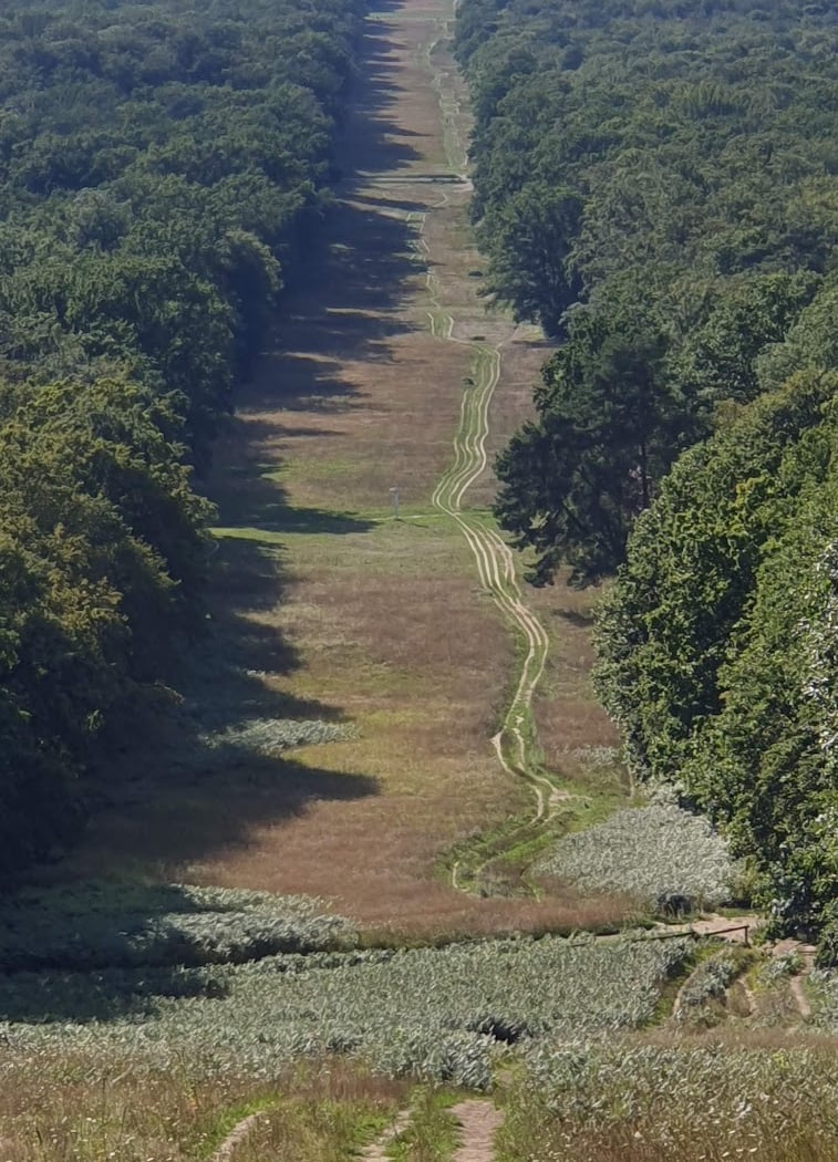 Forêt domaniale de Compiègne 2