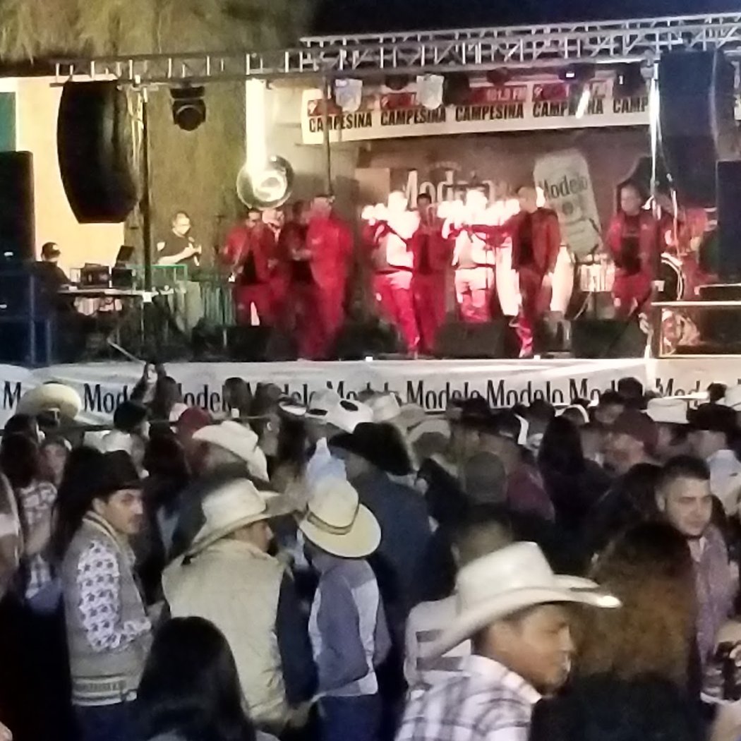 Viry Sandoval, Banda Machos, Grupo Exterminador, and Tierra Cali