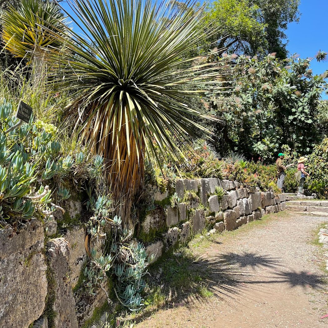 Succulent Garden 2
