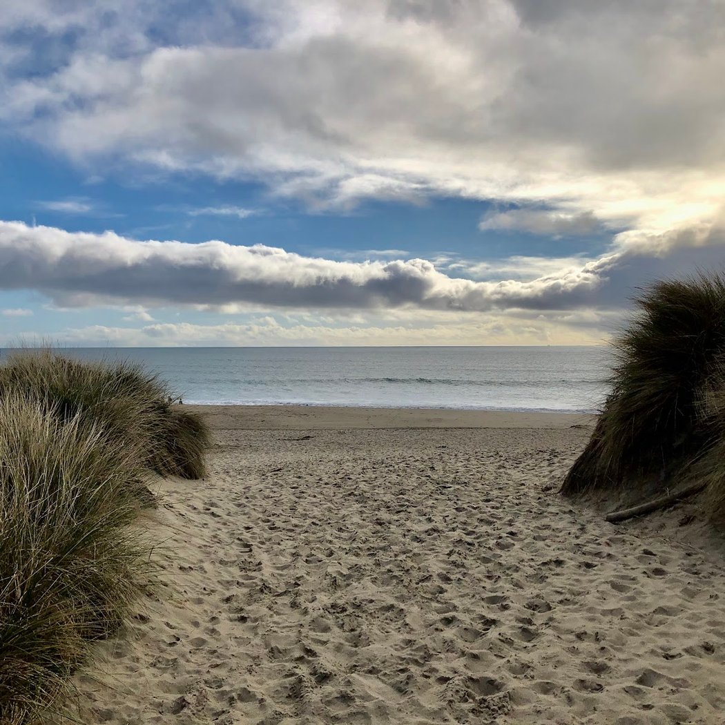Limantour Beach 1