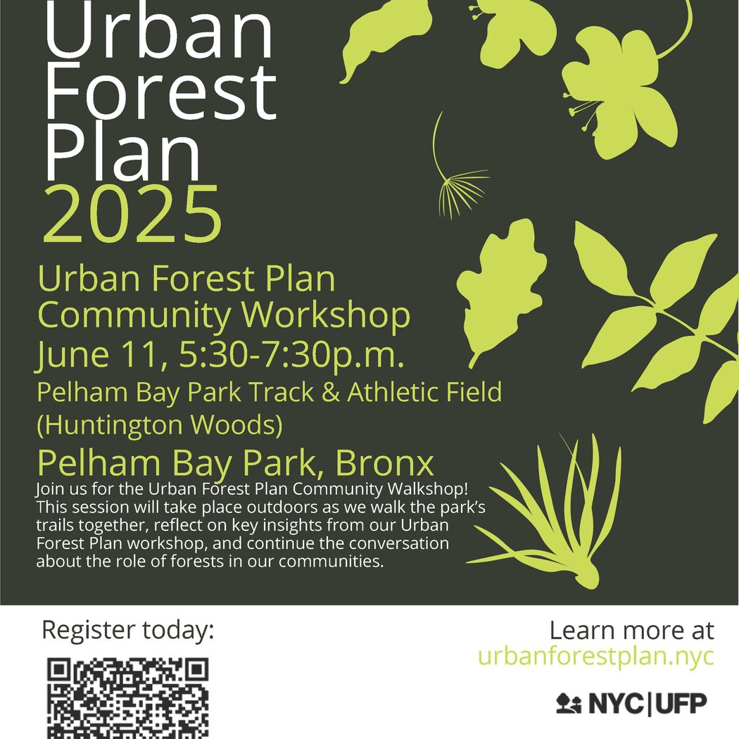 Natural Areas Conservancy: Urban Forest Plan Community Walkshop 1