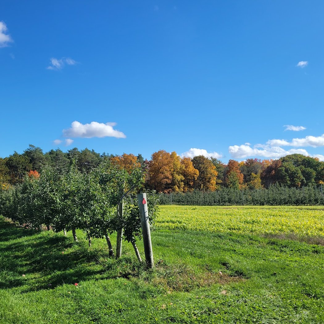 Bowman Orchards 1