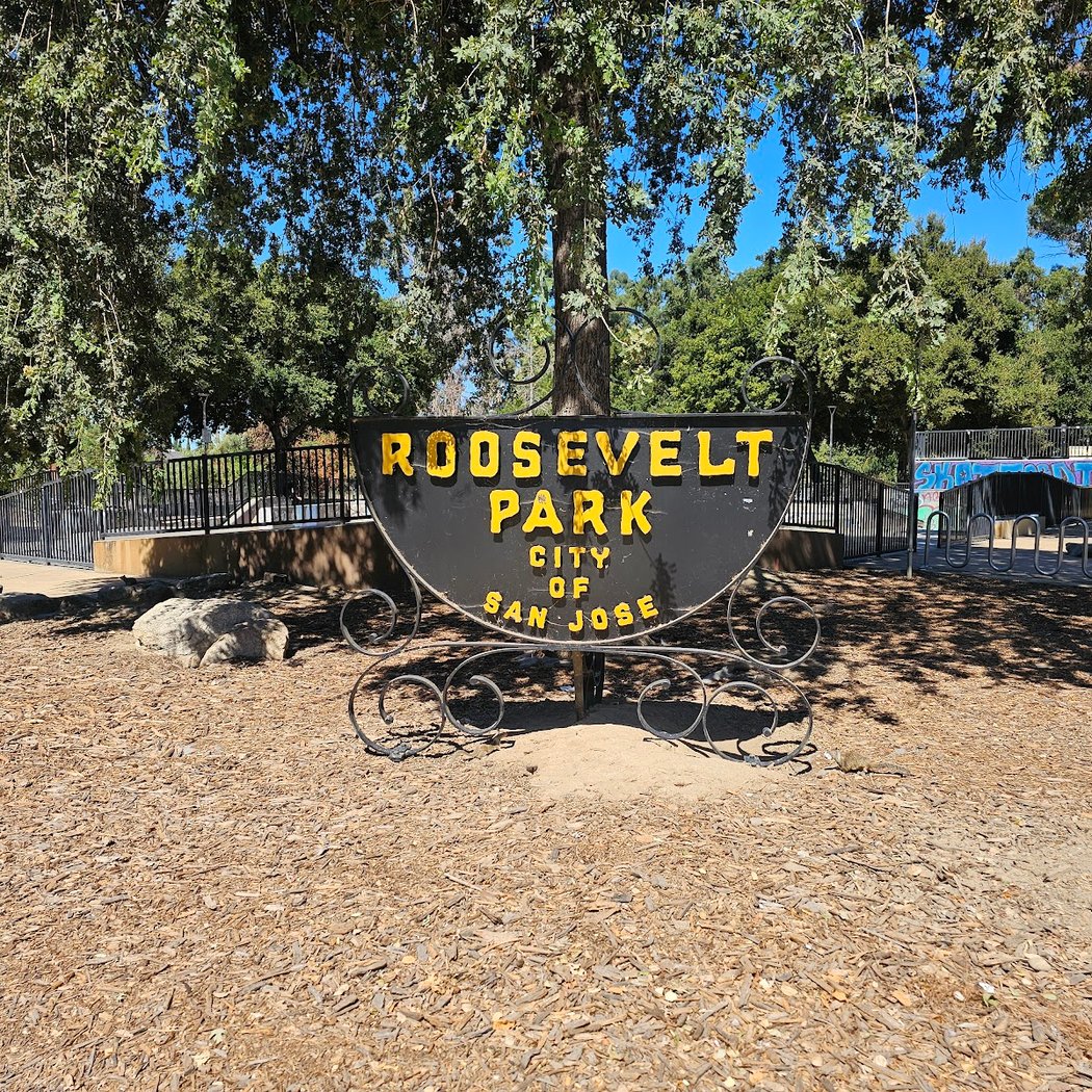 Roosevelt Park Basketball Courts 3
