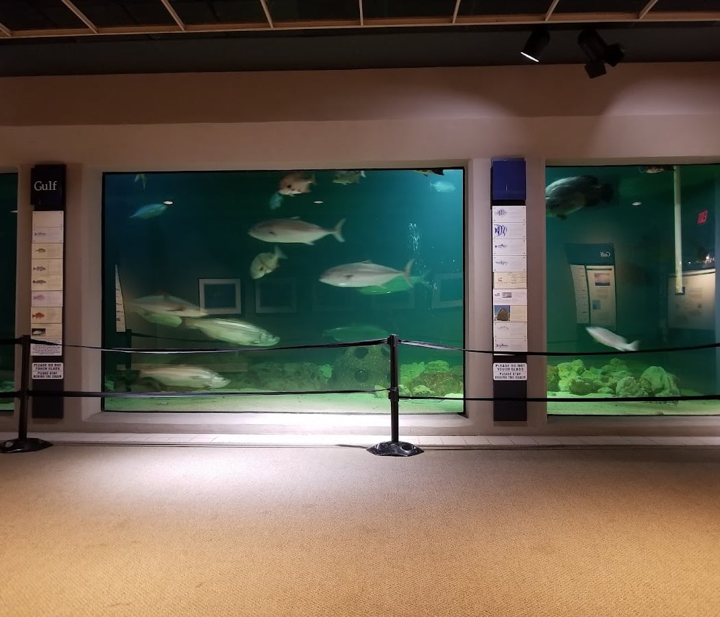 Sea Center Texas 2