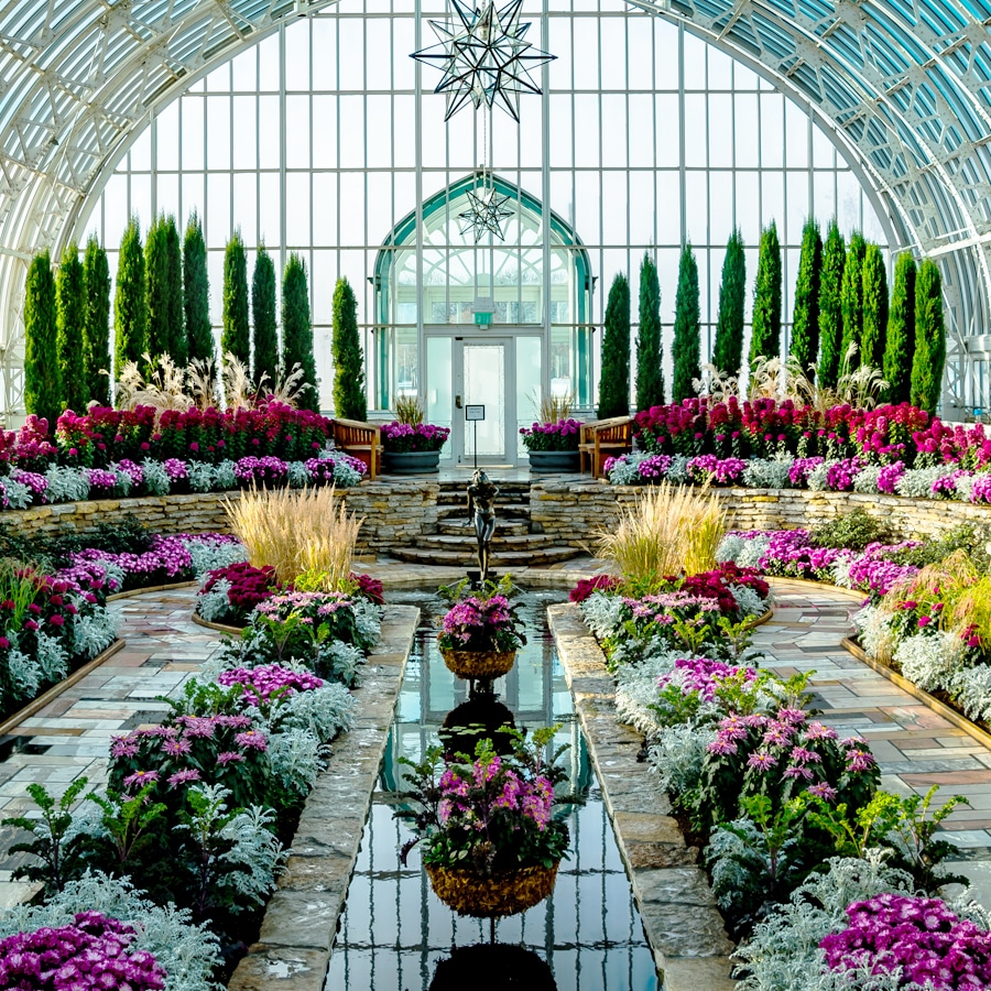 Summer Flower Show 2026 1