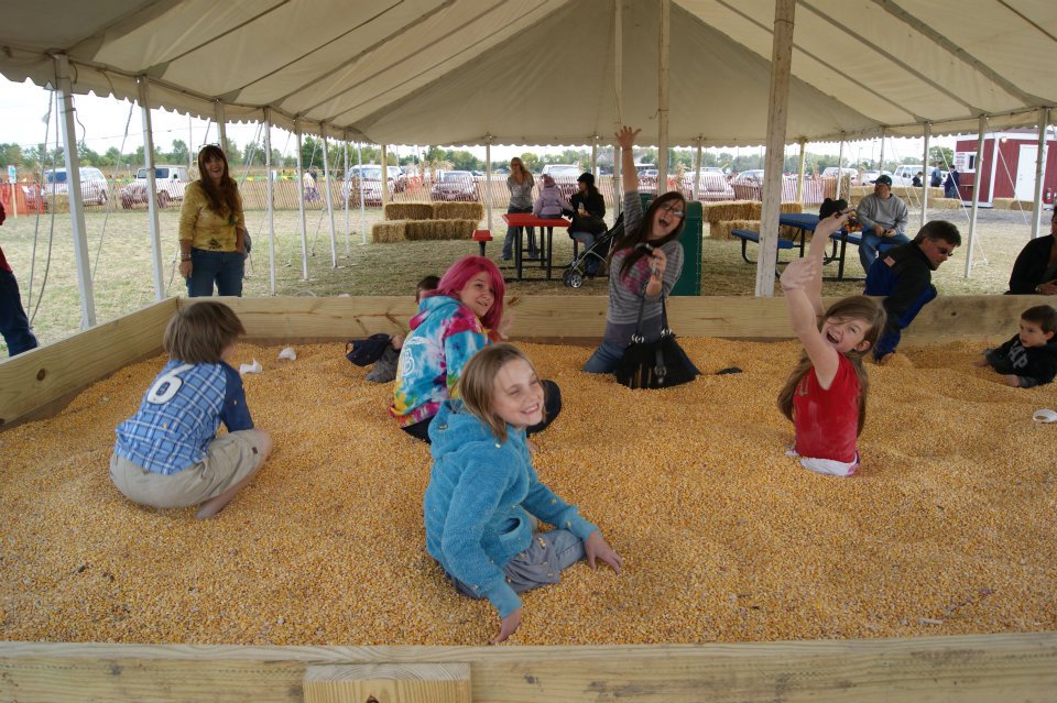 Odyssey Fun Farm: Corn Maze 3