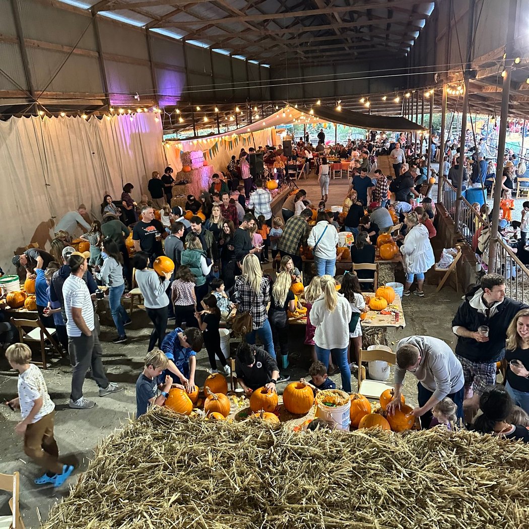 Tara Firma Farms 2